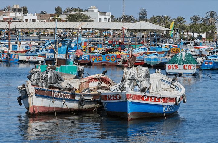Peru’s Fishing Industry Involved in Laundering Money through GTO-Covered Miami Beach