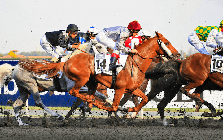 Sanctions and Stables: Public Records Show Recently Sanctioned Horse Trainer Controls Companies in the U.S. and UK