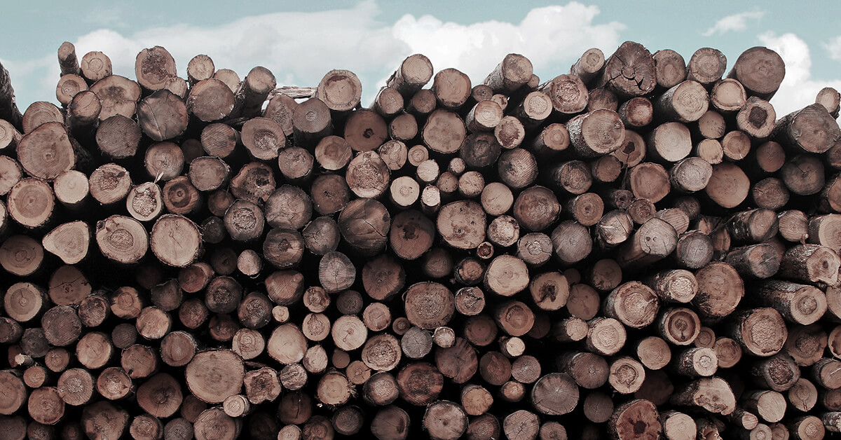 Unearthing Environmental Risk in Timber Supply Chains Using Public Records