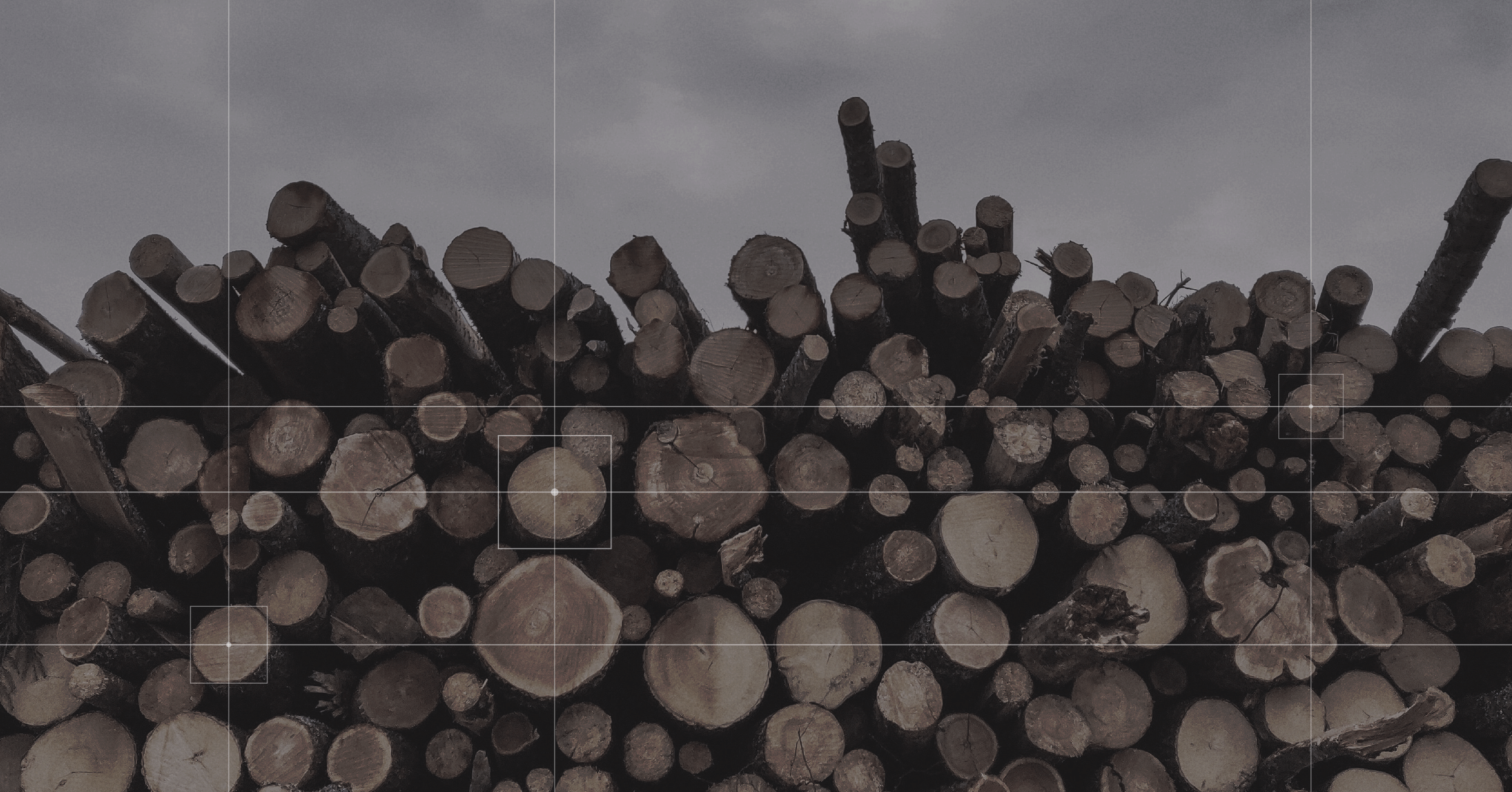 How to Ensure ESG Compliance: A Look at High-Risk Timber Imports